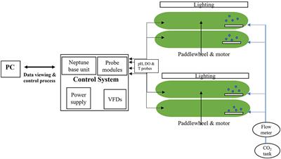 Integrating biological and chemical CO2 sequestration using green microalgae for bioproducts generation